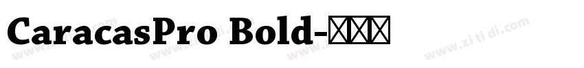CaracasPro Bold字体转换